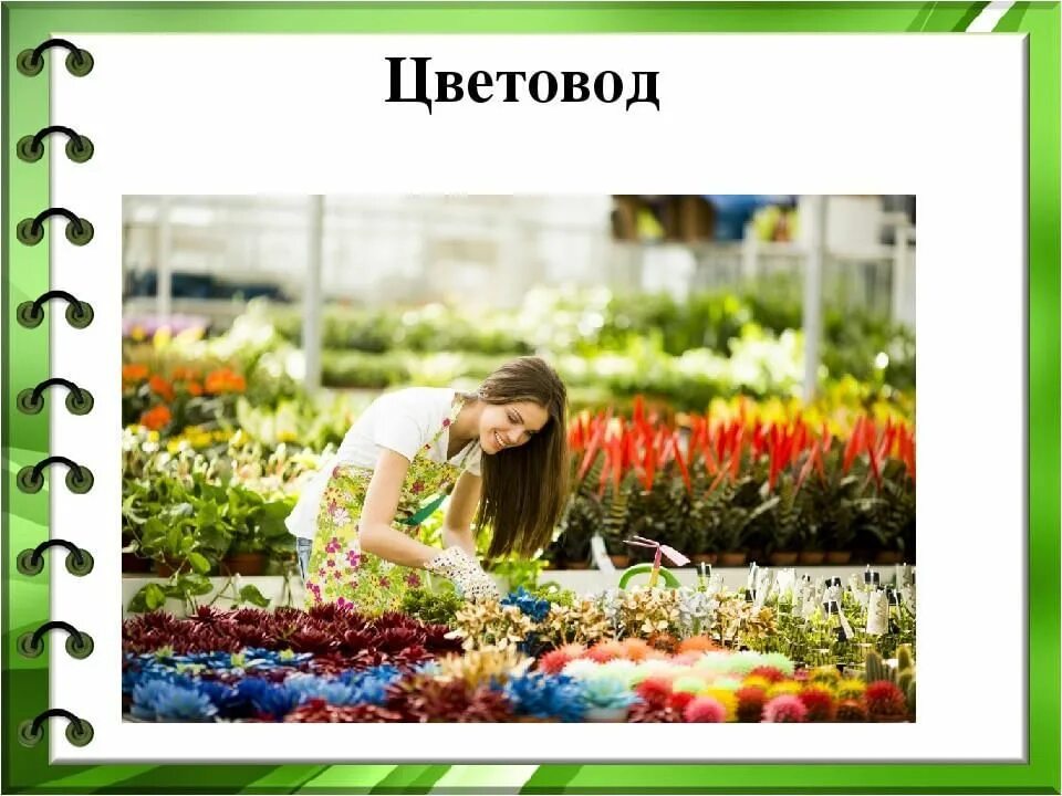 Профессия садовод презентация. Профессия цветовод для детей. Профессия садовник. Садовод профессия для детей. Огородник вектор.