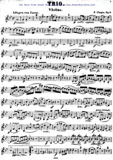 Шопен 8