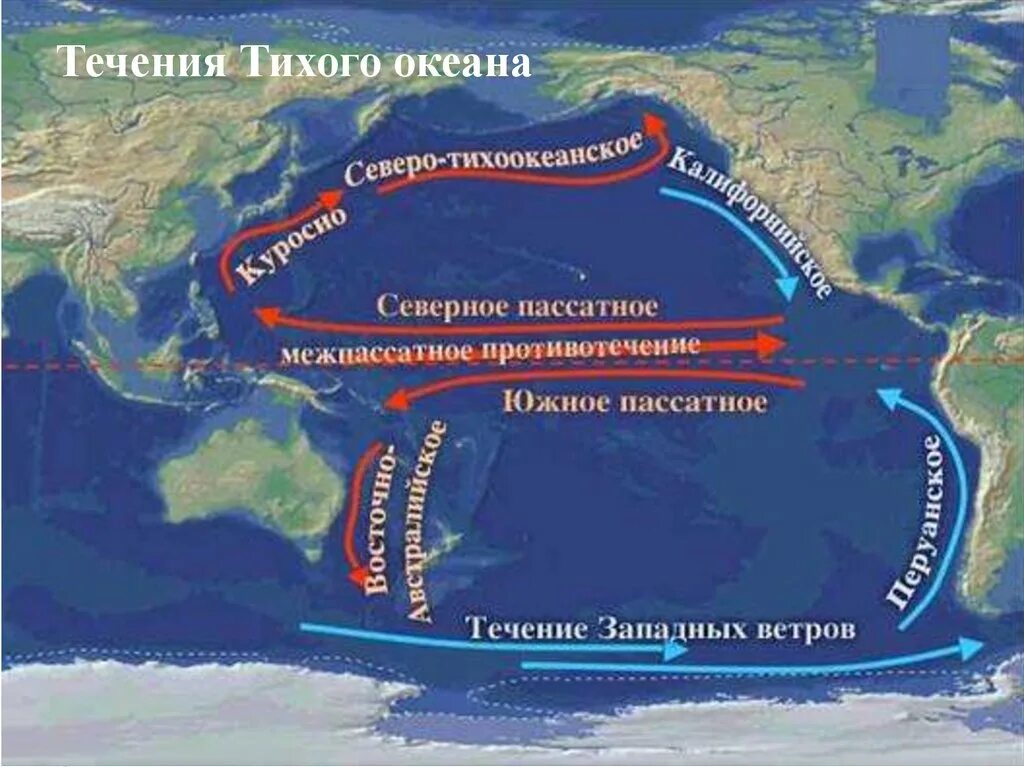 Схема поверхностных течений Тихого океана. Теплое течение Куросио. Теплые течения Куросио муссонное. Течения Тихого океана Куросио.