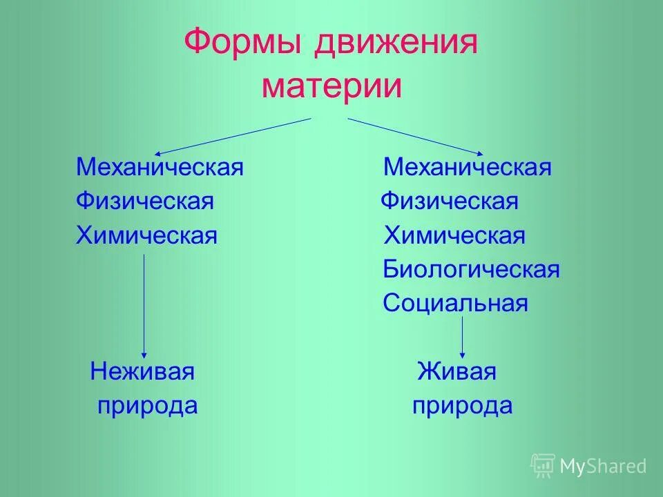 Формы движения материи в философии. Классификация форм движения материи. Взаимосвязь форм движения материи. Принципы классификации форм движения материи. Форма движения 1.