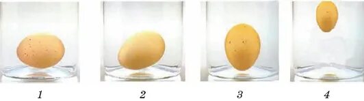 Яйца плавают на поверхности воды. Свежее яйцо в соленой воде. Определить свежесть перепелиных яиц. Доброкачественность яйца в воде. Куриные яйца всплывают.