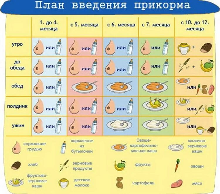 Таблица прикорма детей с 6 месяцев. Ввод прикорма при грудном вскармливании с 4 месяцев. Схема введения прикорма. 4 Мес прикорм схема.