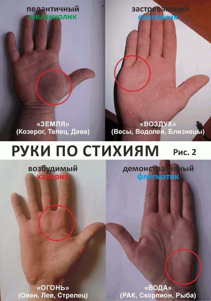 Типы кистей рук. Типы ладоней. Типы человеческих рук. Типы ладоней и пальцев. Стихия по ладони.