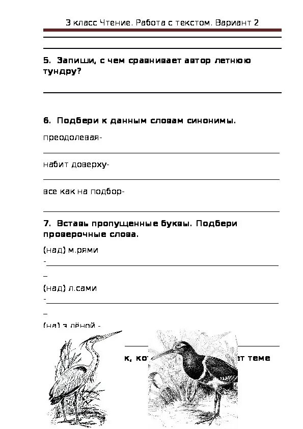 Работа с текстом 3 класс вариант 7. Чтение работа с текстом. Чтение работа с текстом 2 класс. Чтение 3 класс задания. Чтение работа с текстом третий класс вариант.