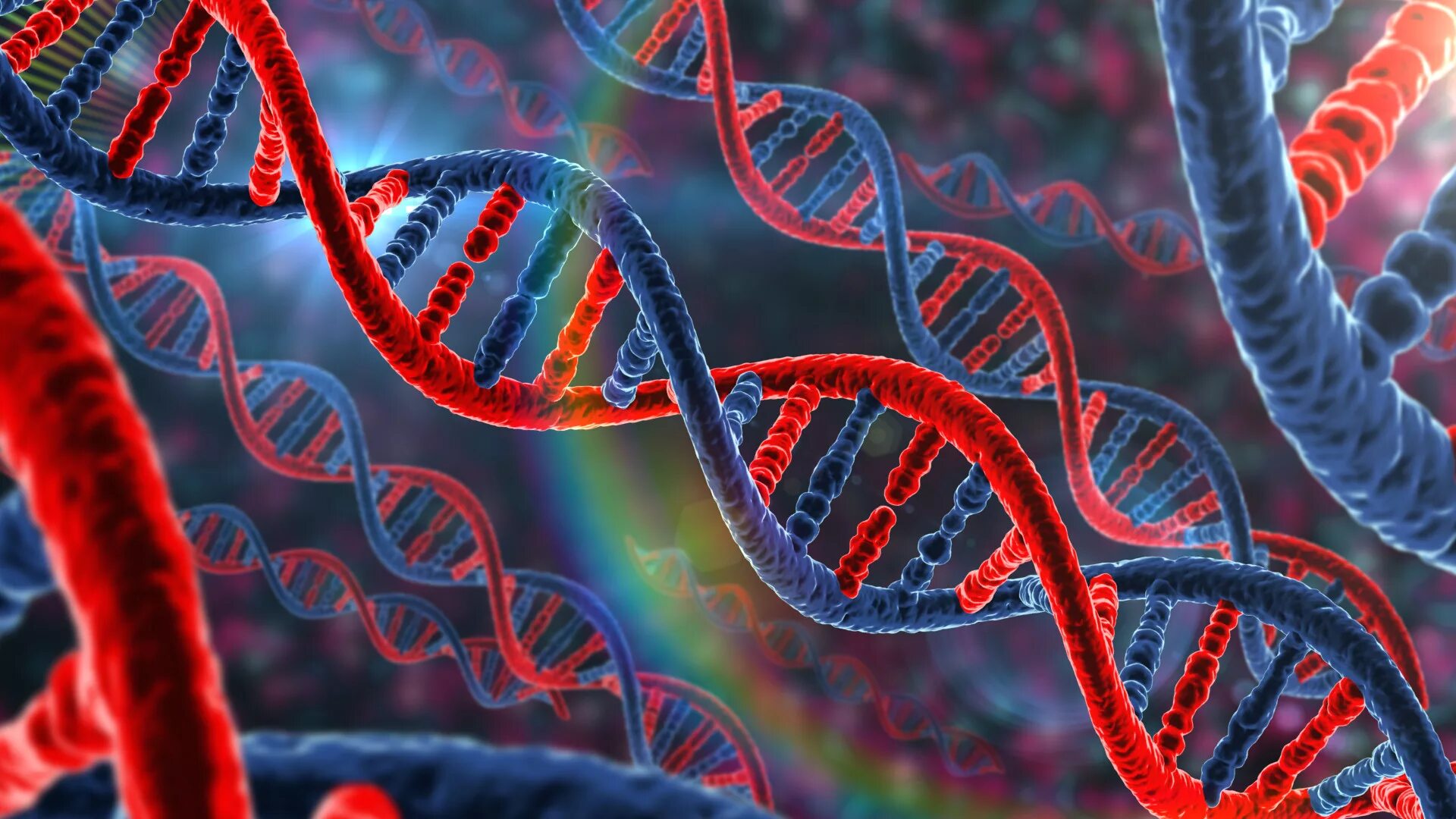 Ген геном генетические аппараты. Дезоксирибонуклеиновая кислота ДНК. ДНК генетика биология. ДНК гены геном. Молекула ДНК человека.