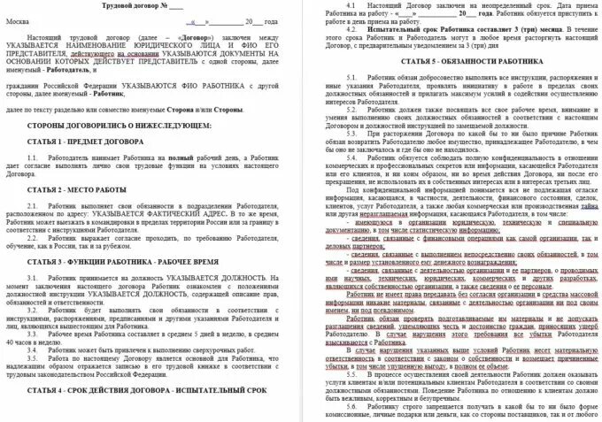 Трудовой договор на должность продавца. Трудовой договор. Испытательный трудовой договор. Договор на испытательный срок. Трудовой договор с испытательным сроком образец.