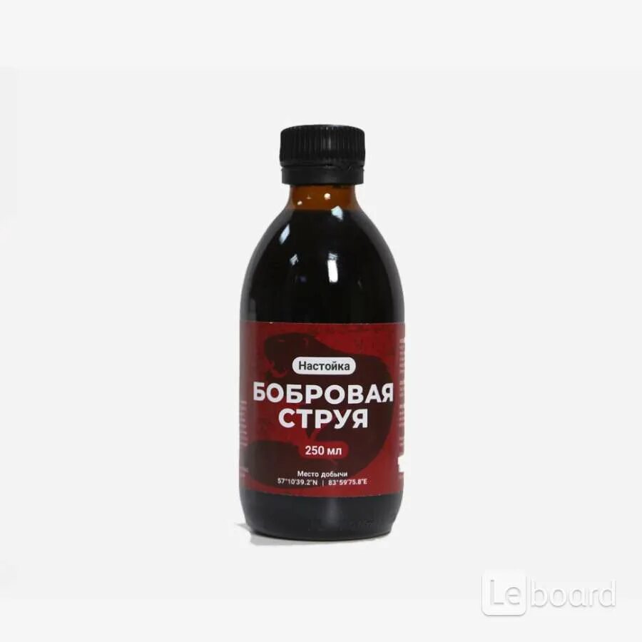 Как правильно настоять бобровую струю. Как правильно настоять бобровую струю