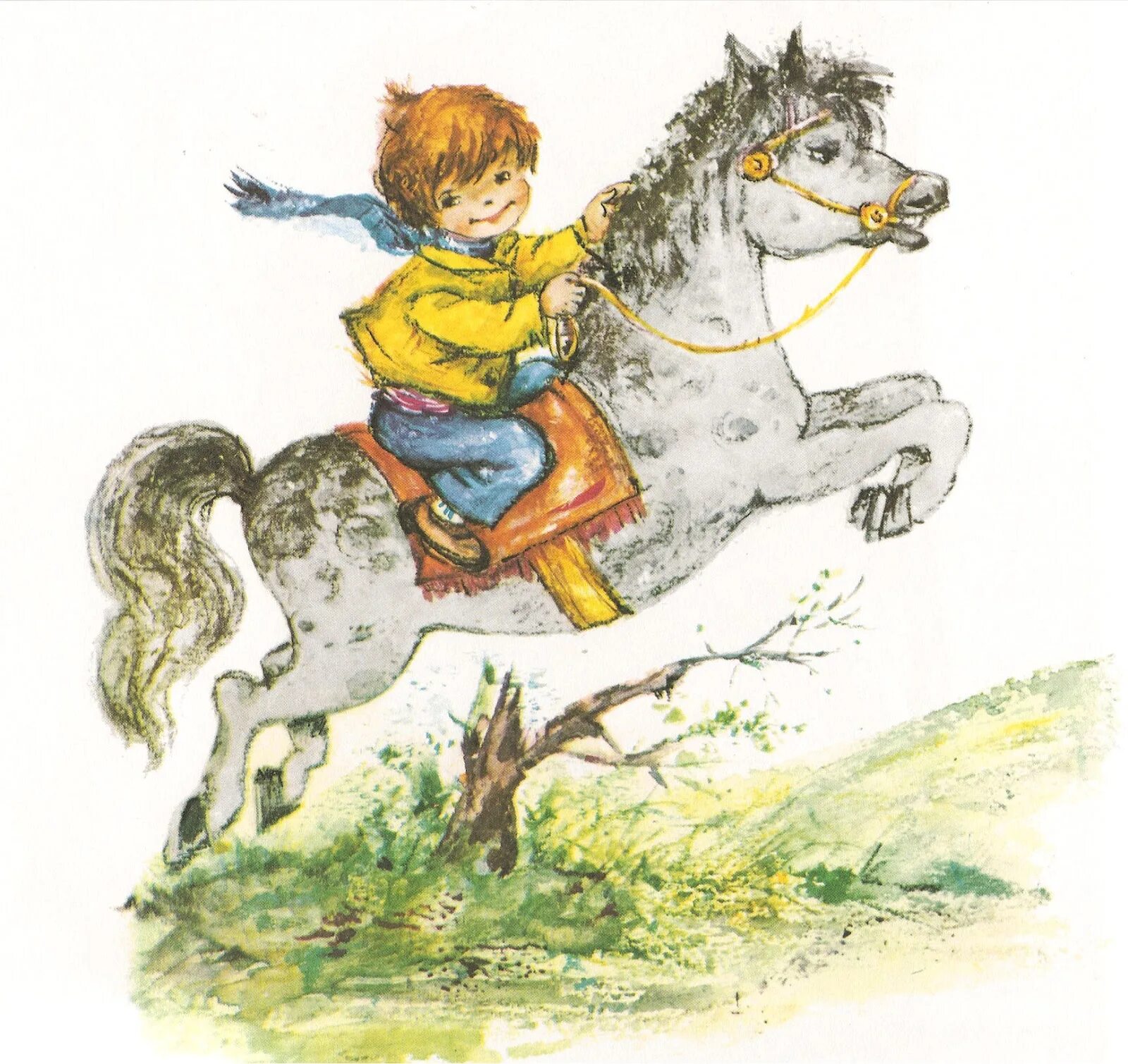 Мальчик на лошади. Мальчик на детской лошадке. Мальчик на коне.