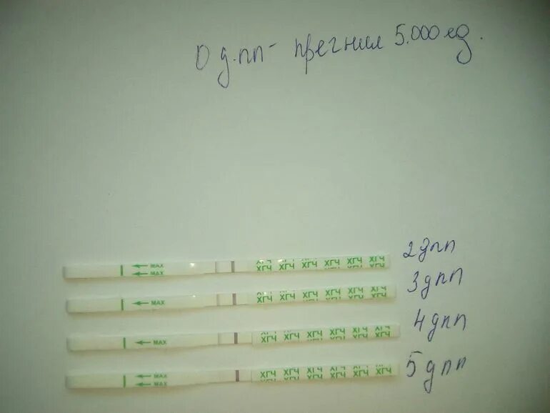 После укола ХГЧ. Овитрель ХГЧ. Тест на беременность после овитреля. Овитрель 5000.