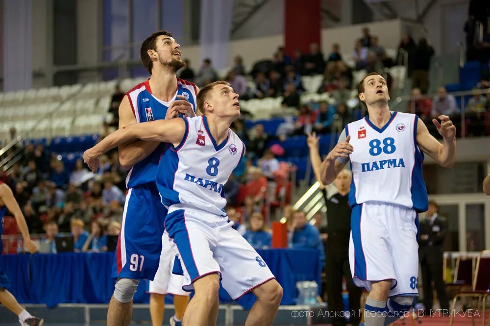 парма пермь баскетбол. команда парма пермь. баскетбол пермь парма команда. парма пермь баскетбол. парма пермь состав.