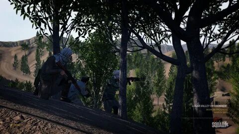 Squad как играть с другом