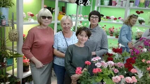 Казань пеларгонии