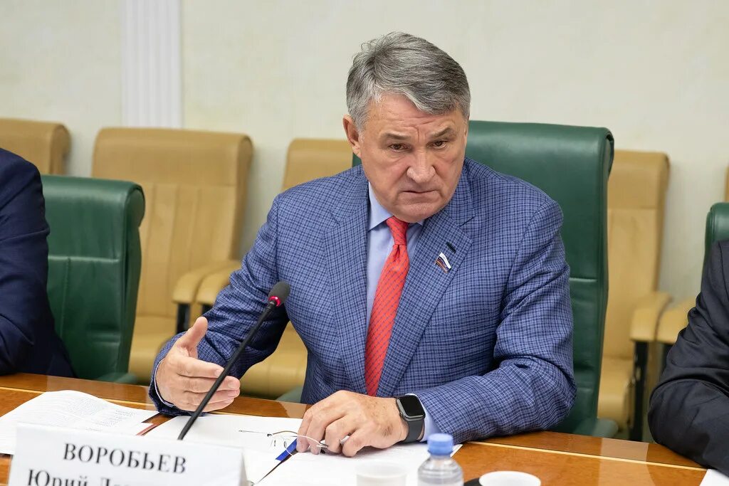 Воробьев ю л воробьева. Воробьев ю л воробьева
