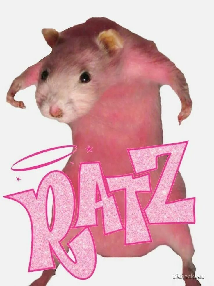 Rat meme