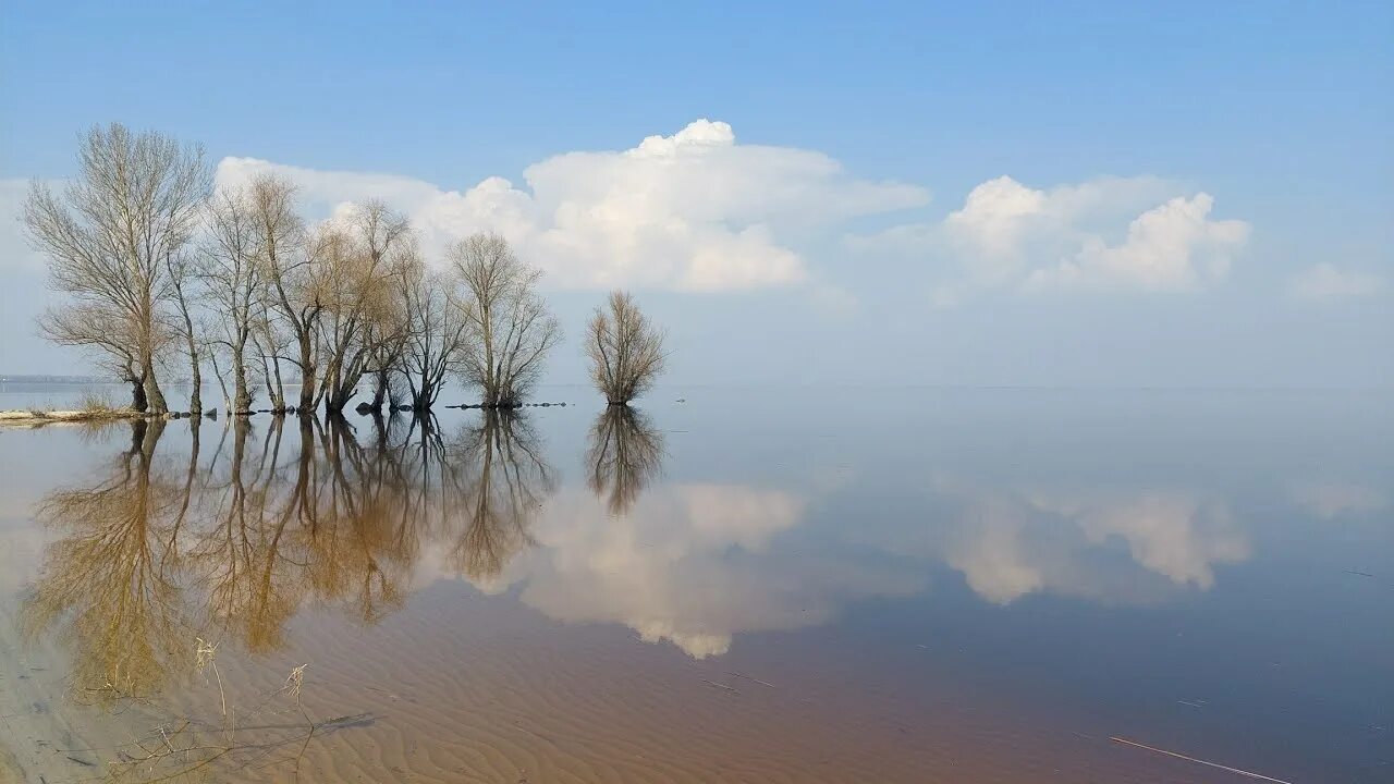 Черкассы улицы. Черкассы 2023. Черкассы 2023. Губернаторов андрей валентинович. Балабаново улица боровская светофор.