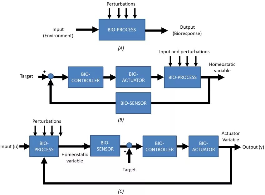 Output control. Принцип работы input. Tikz Block diagram. Deh Control Block diagram. Input diagram.