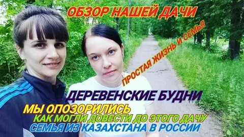 Простая жизнь нелепиных дзен