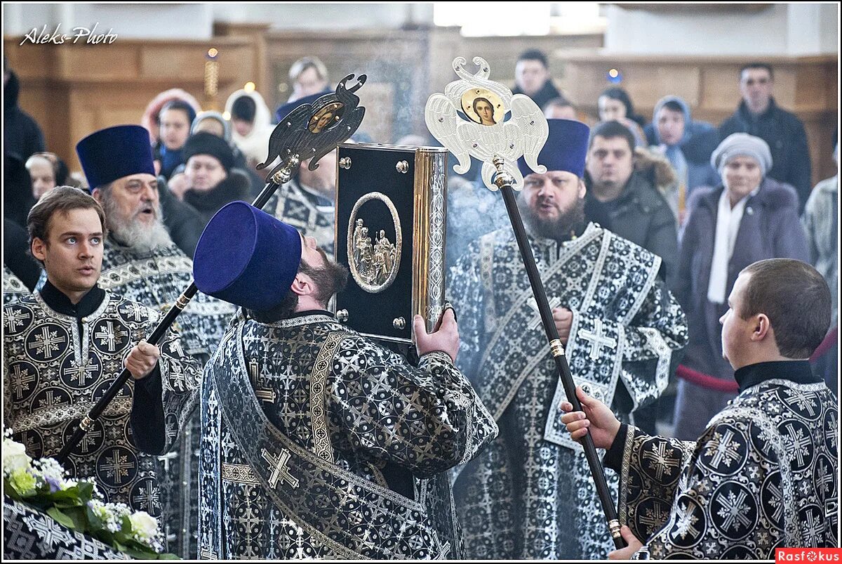 олег плотников воронеж могила. похороны олега плотникова. олег плотников воронеж могила. похороны вероники николаевой в костроме на кладбище. панихида с возложением венков.