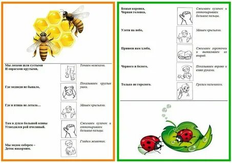 План конспект насекомые