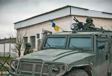 Тигр в крыму