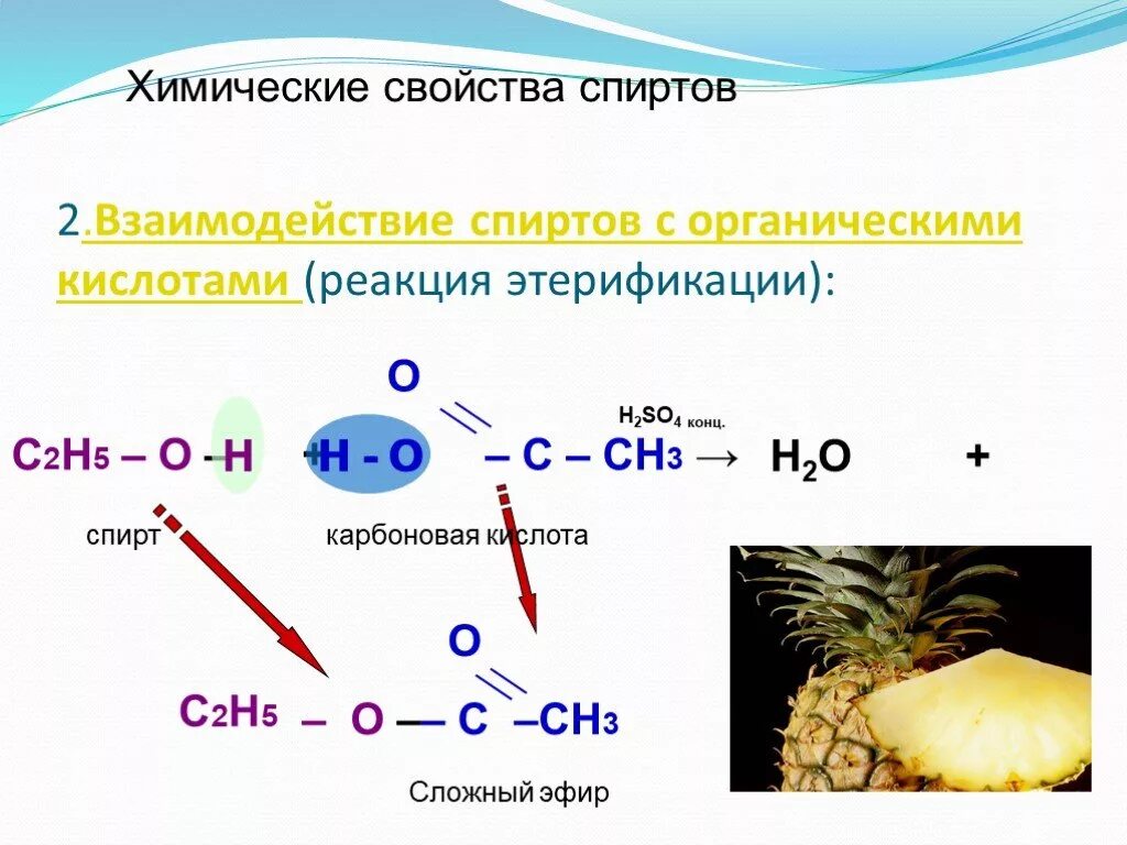 Реакции спиртов с органическими кислотами