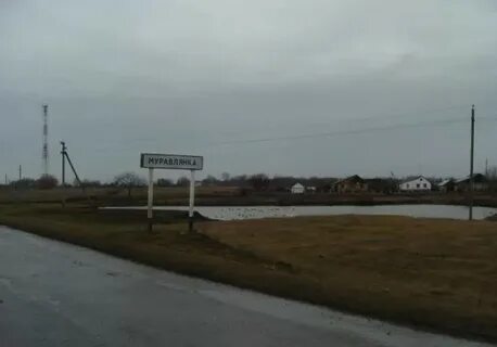 Погода высокое сараевского рязанской