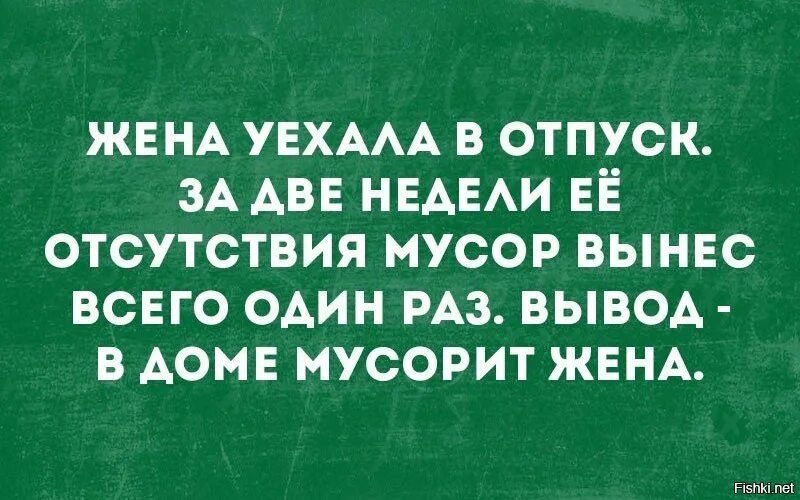 Вывод мусорит дома жена. Жена уехала. Вывод дома мусорит жена анекдот. Жена уехала в отпуск.