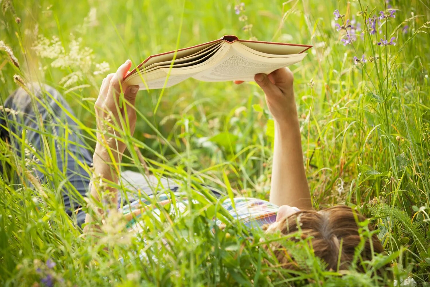 Книги на лето 7. Девушка с книгой на траве. девушка с книгой на природе. фотосессия на траве с книжкой. фотосессия с книгой летом.