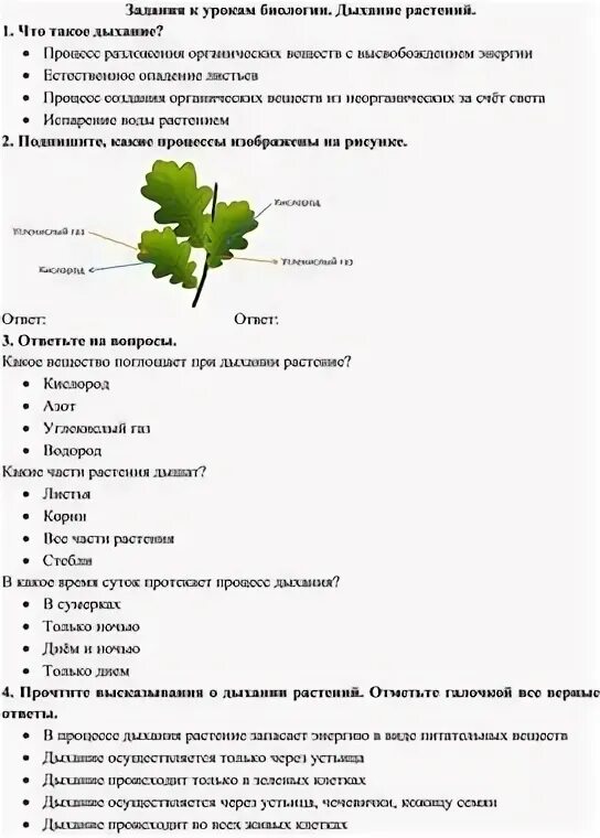 Дыхание растений самостоятельная работа 6 класс