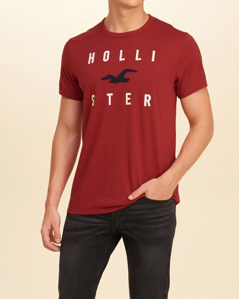Hollister отзывы. Hollister фирма. Hollister одежда. Холлистер Калифорния. Hollister футболка мужская.