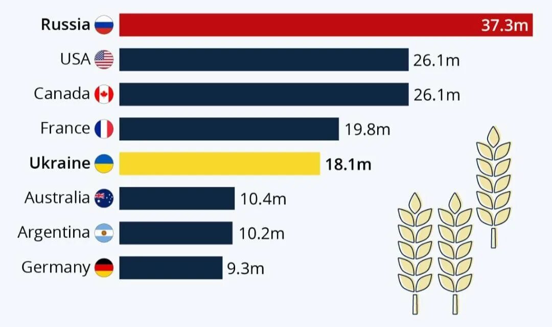 Мировые производители зерна. Крупнейшие экспортеры пшеницы. Экспортеры пшеницы в мире. Крупнейшие экспортеры пшеницы в мире. Крупнейшие импортеры пшеницы в мире.