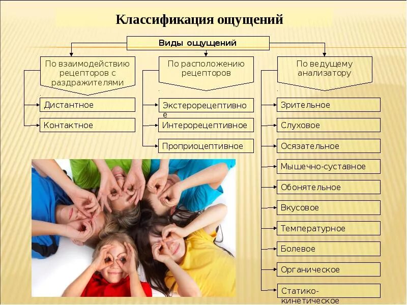 Ощущений но и их. Классификация ощущений.