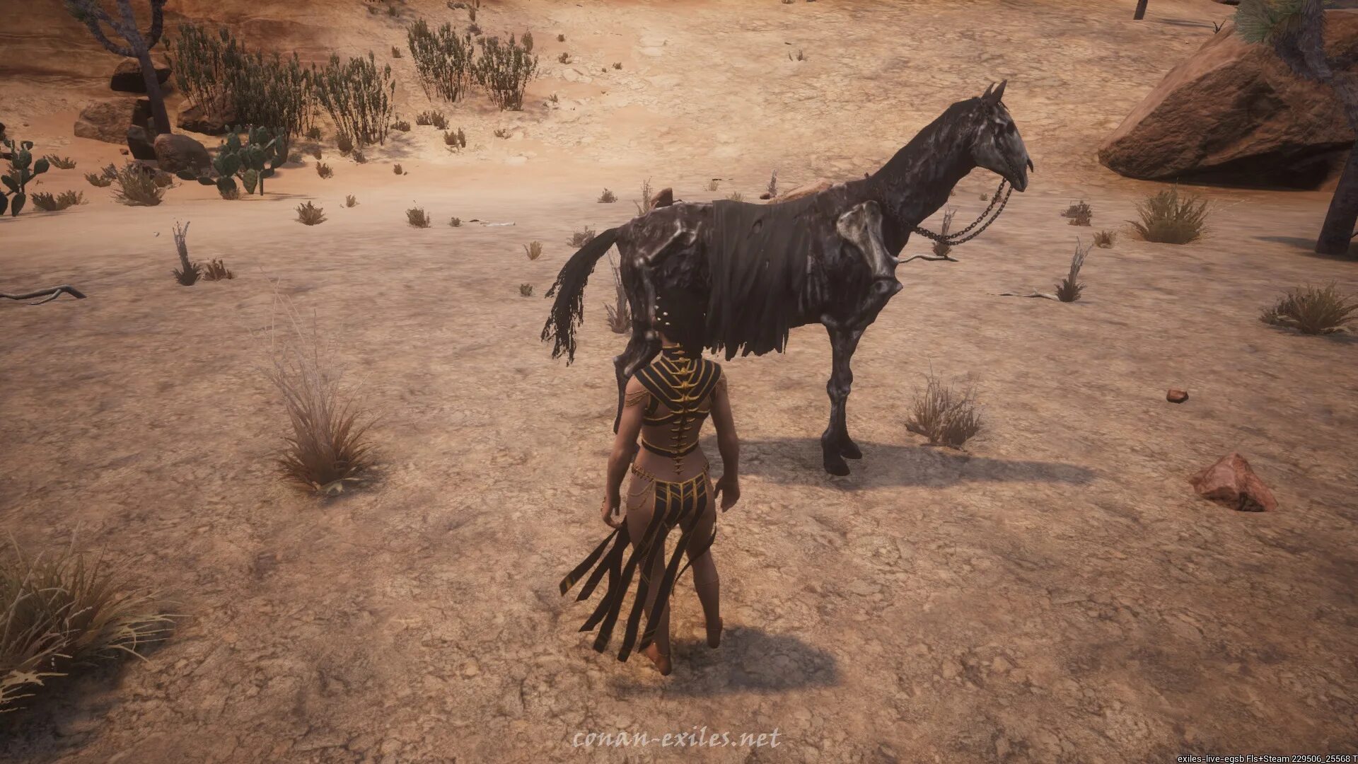 Conan exiles саблезуб. Conan exiles жеребенок. conan exiles ездовые питомцы. conan exiles ездовой саблезубый тигр. ездовая пантера conan exiles.