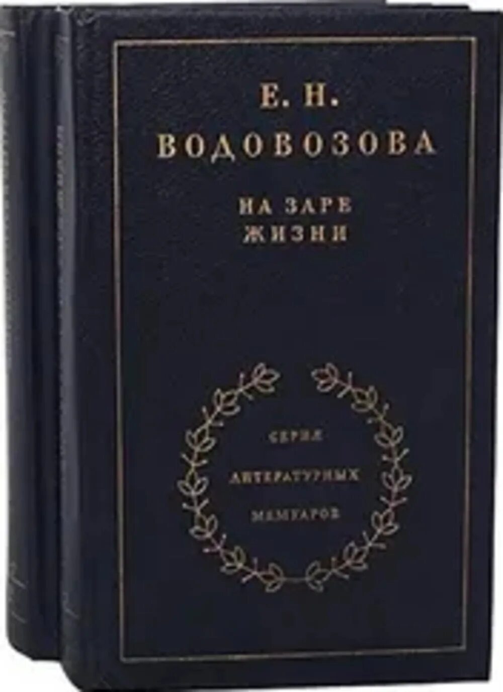 Водовозова "на заре жизни" 1934. Водовозова е. н. на заре жизни.