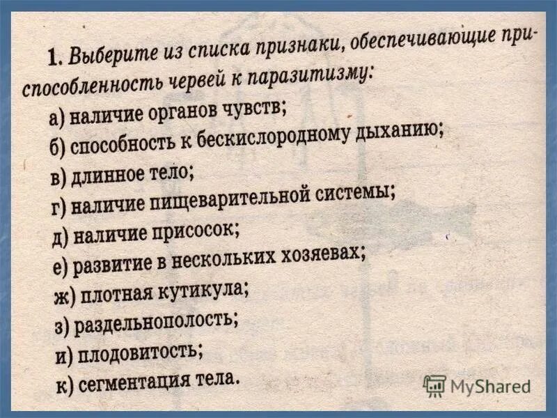 Контрольный тест по теме беспозвоночные животные 7 класс. Проверочная работа по биологии 7 класс беспозвоночные. Тест по теме беспозвоночные животные 7 класс. Контрольная работа по теме "многоклеточные животные. Беспозвоночные животные контрольная работа.