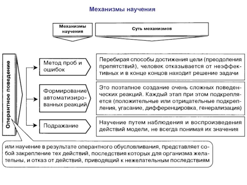 Механизмы научения