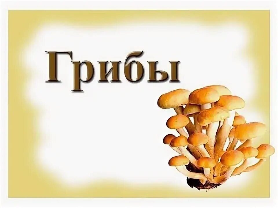 Слово гриб. Грибы надпись. Грибы с надписью для детей. Красивая надпись грибы.