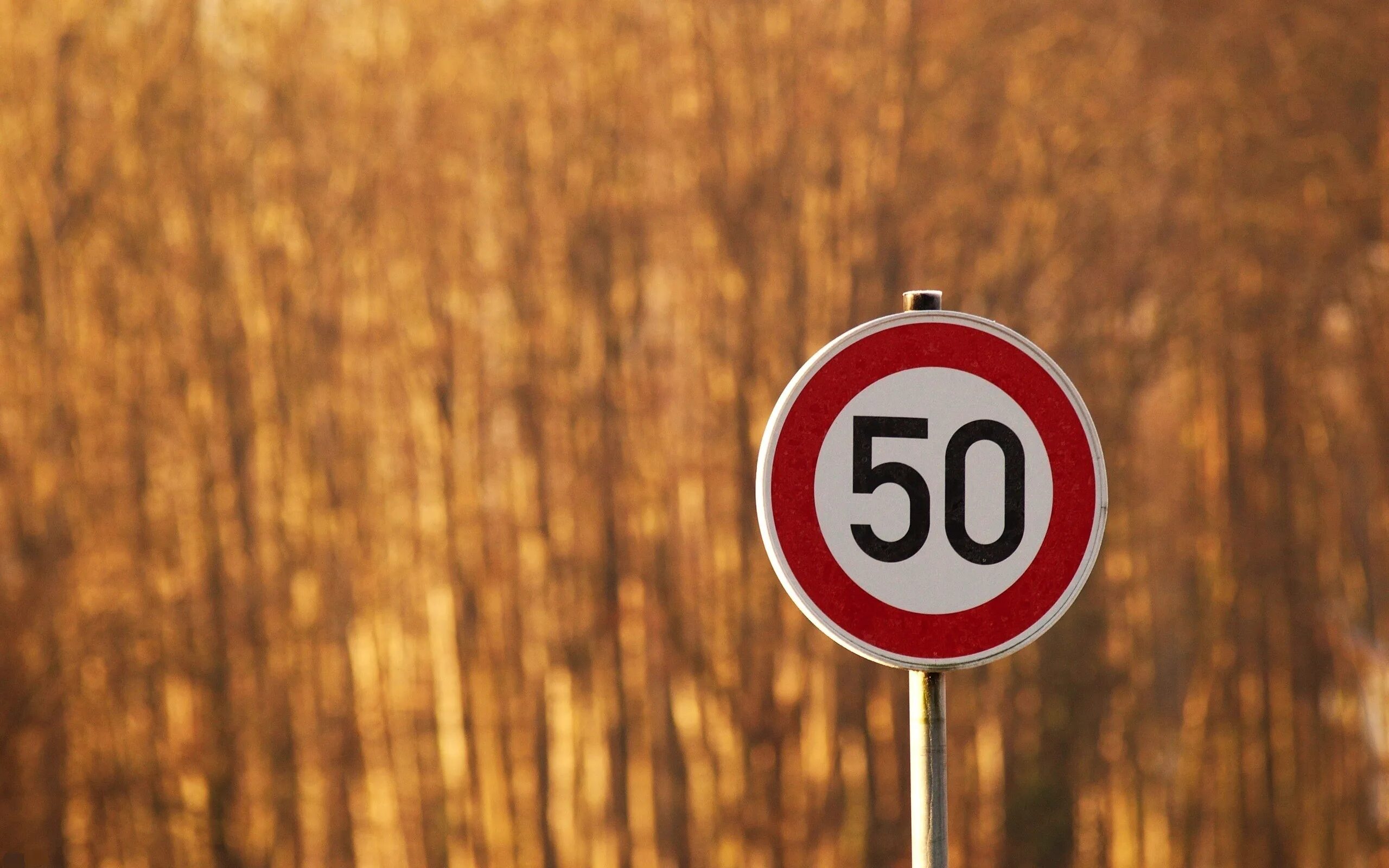 Знак ограничение скорости 5. Знак 40 км. Человечки для презентации запрет. Табличка габаритов ворот. Дорожные знаки.