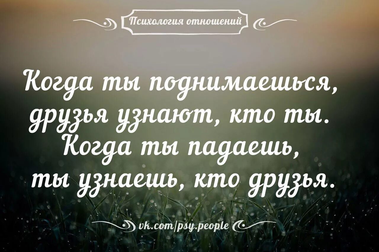 Цитаты общее. Умные фразы. мудрые высказывания. мудрые афоризмы. мудрые цитаты про жизнь.