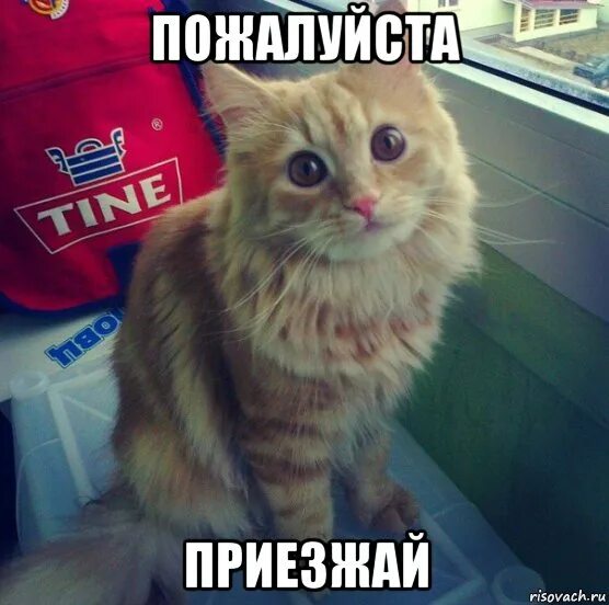 Дайте пройти пожалуйста. Дайте пройти пожалуйста