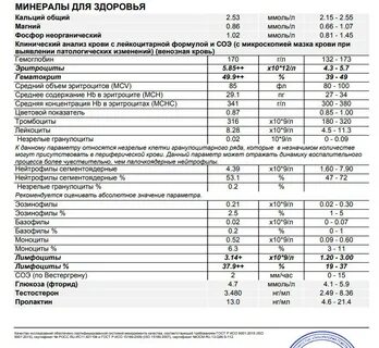 Норма 55