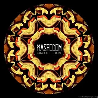 Fonts finder, Download free fonts. 