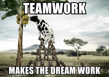 Funny Work Team Building Memes