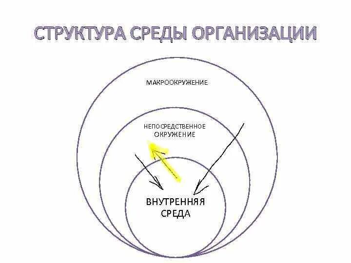 Анализ макроокружения организации. Макроокружение внешней среды это. Структура среды организации. Макроокружение непосредственное окружение внутренняя среда. Непосредственное окружение организации.