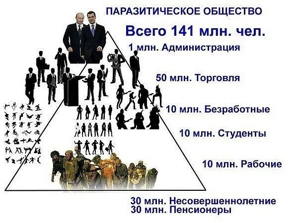 Тип 11 13 общество