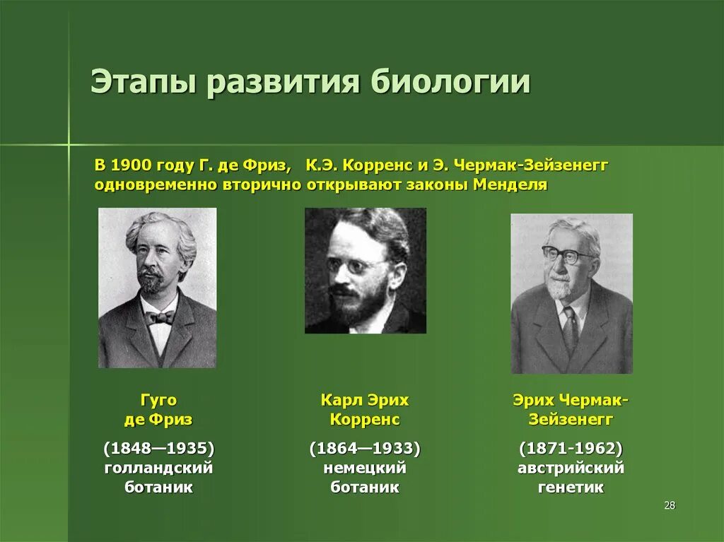 Этапы эволюции история. Де фриз Чермак и Корренс. Чермак вклад в генетику. Этапы развития биологии. Исторические этапы развития биологии.