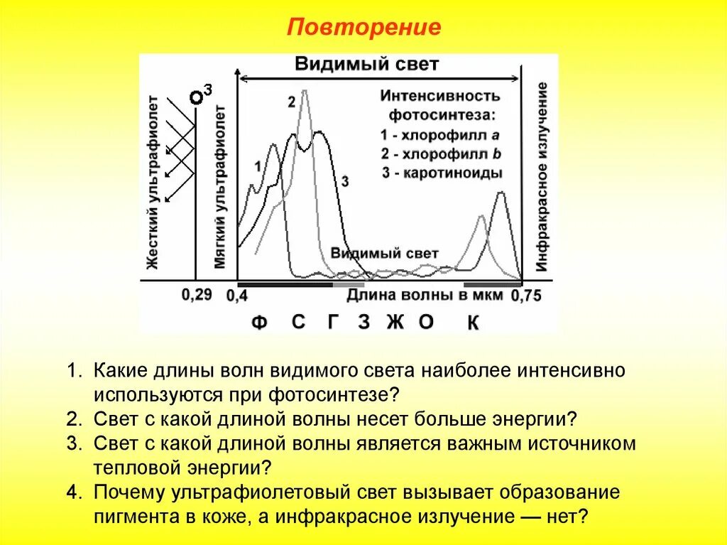 Свет с какой длиной волны несет больше энергии. Абиотические факторы среды биоритмы. Ультрафиолетовые лучи абиотический фактор. Какой свет с какой длиной волны.