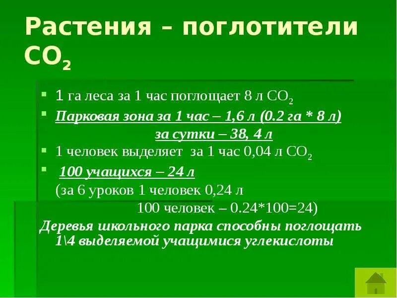 Сколько газа выделяет человек. Поглощение углекислого газа деревьями. Поглощение со2 лесами. Сколько поглощает углекислого газа 1 дерево. Растение поглощает со2.