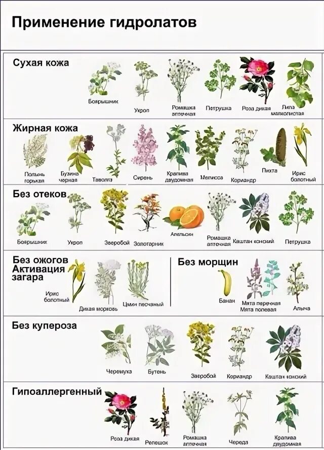 Крымские гидролаты. Свойства гидролатов. Гидролат по типу кожи таблица. Гидролат. Гидролат шелковицы для волос.