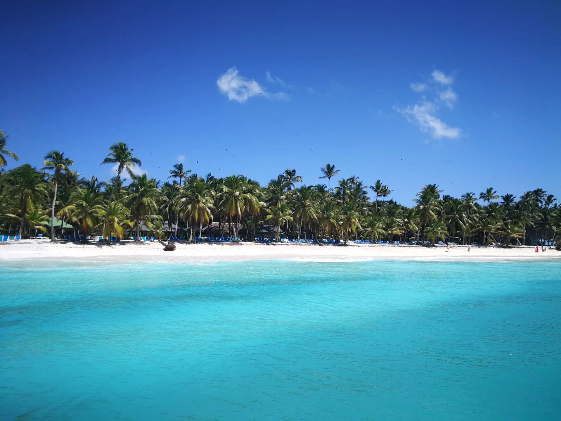 Доминикана пунта кана океан. Доминикана пунта кана океан. Остров куросава карибы. Карибы карибское море. Доминикана какой океан.